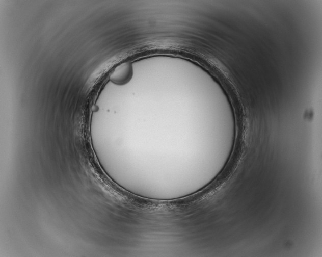 X0000115380922200911241300