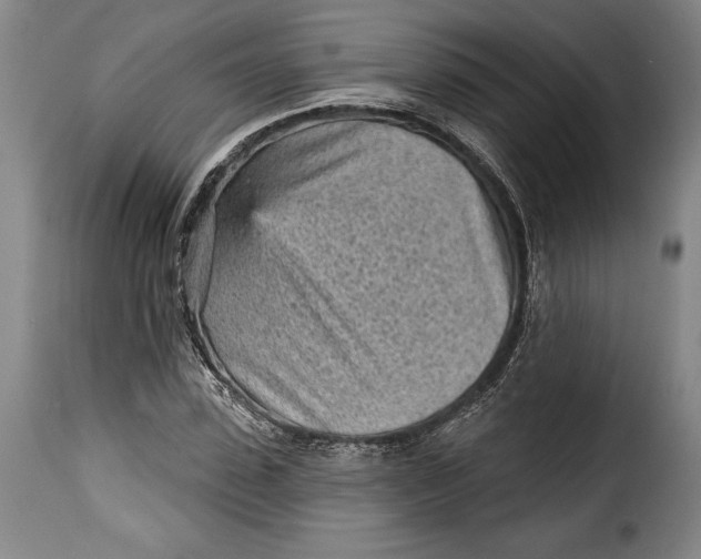 X0000115380923200911241300