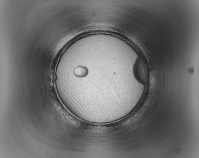 X0000115380925200911241300