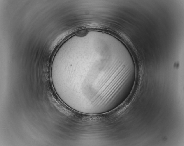 X0000115380930200911241300