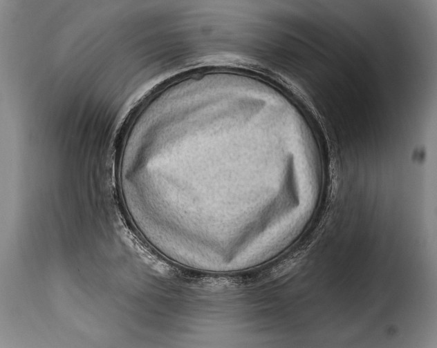 X0000115380931200911241300