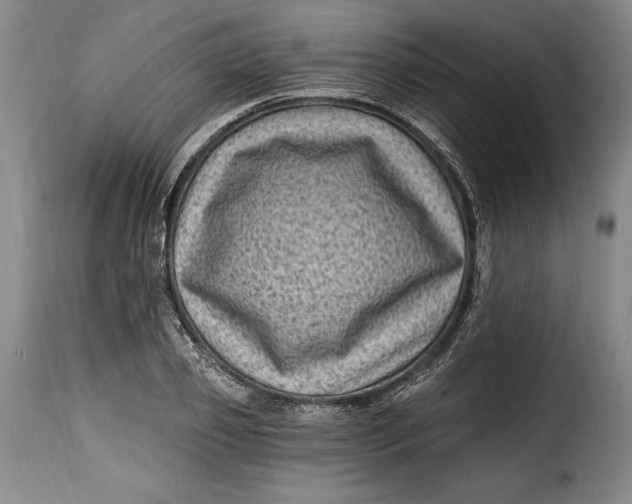 X0000115380933200911241300