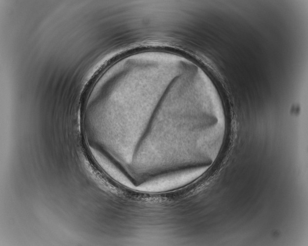 X0000115380934200911241300