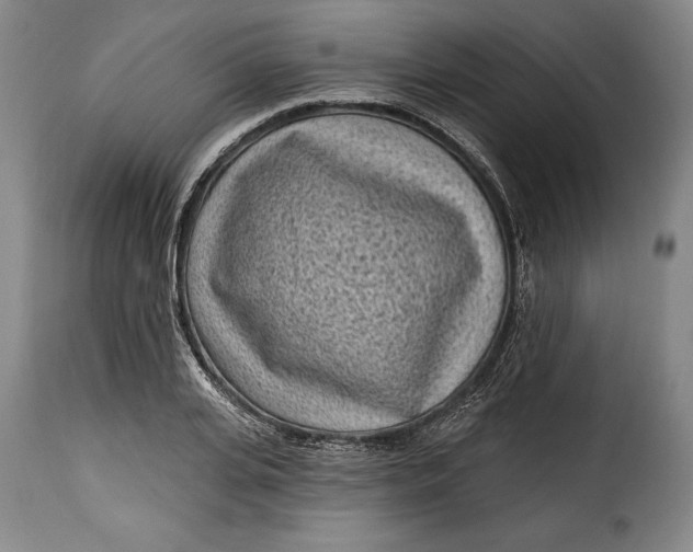 X0000115380935200911241300