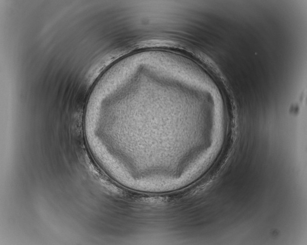 X0000115380937200911241300