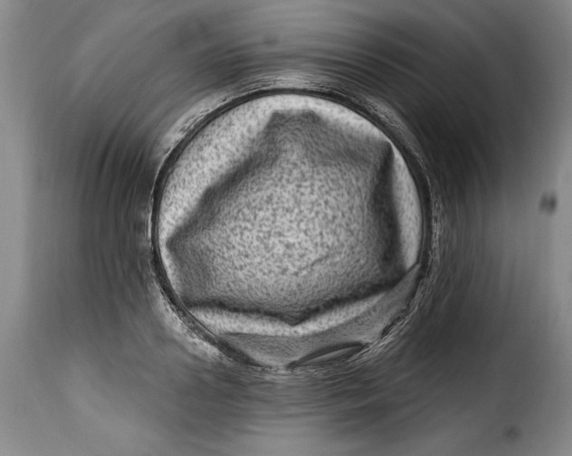 X0000115380938200911241300