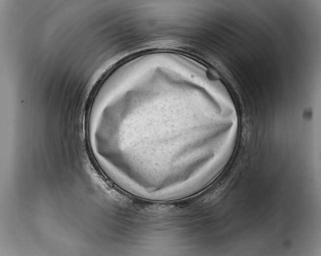 X0000115380939200911241300