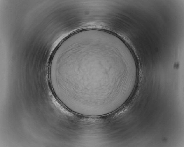 X0000115380941200911241300