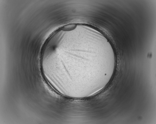 X0000115380942200911241300