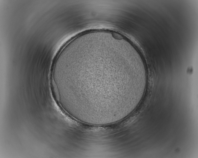 X0000115380943200911241300