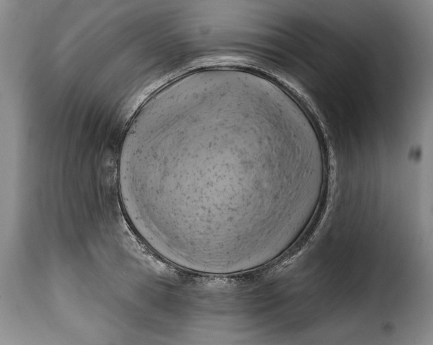 X0000115380945200911241300