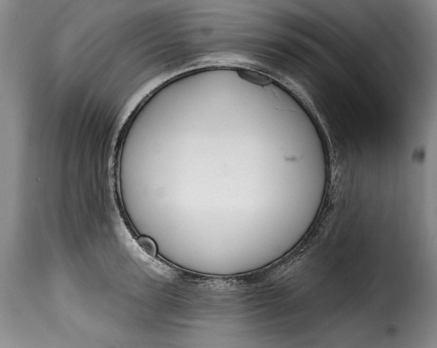 X0000115380947200911241300