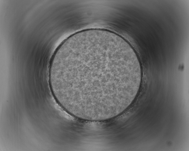 X0000115380950200911241300