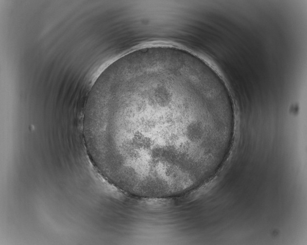 X0000115380953200911241300