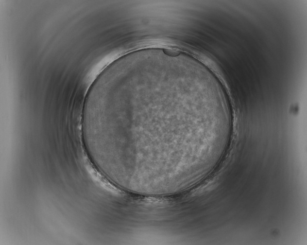 X0000115380954200911241300