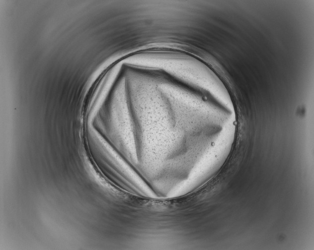 X0000115380955200911241300