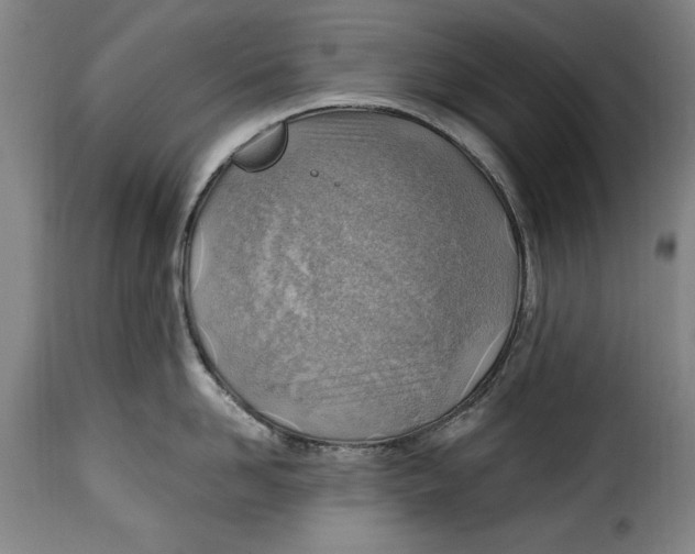 X0000115380958200911241300