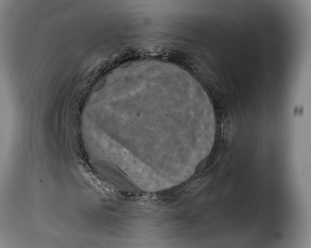 X0000115380961200911241300