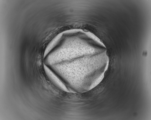 X0000115380962200911241300