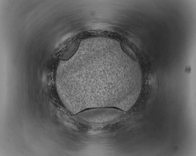 X0000115380965200911241300