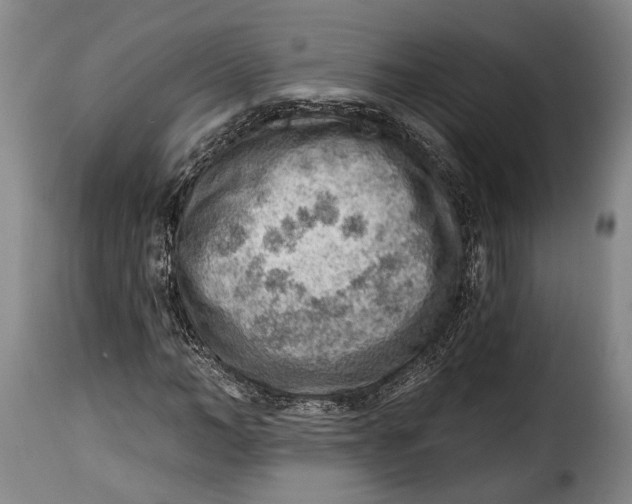 X0000115380966200911241300