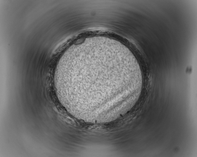 X0000115380967200911241300