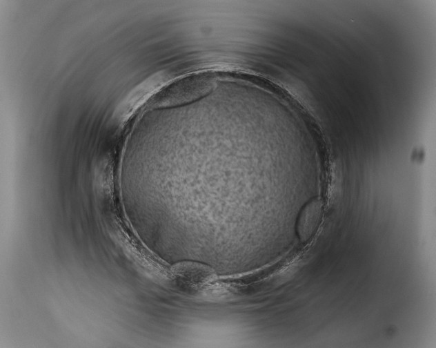 X0000115380969200911241300