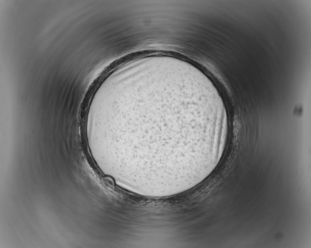 X0000115380972200911241259