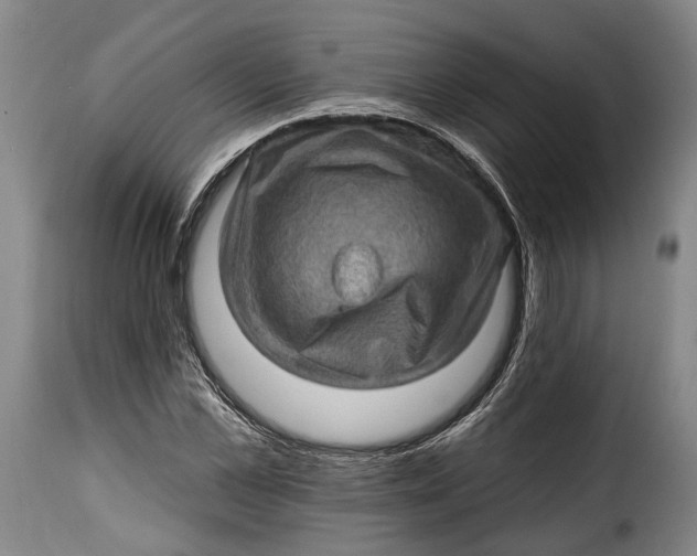 X0000115380973200911241259