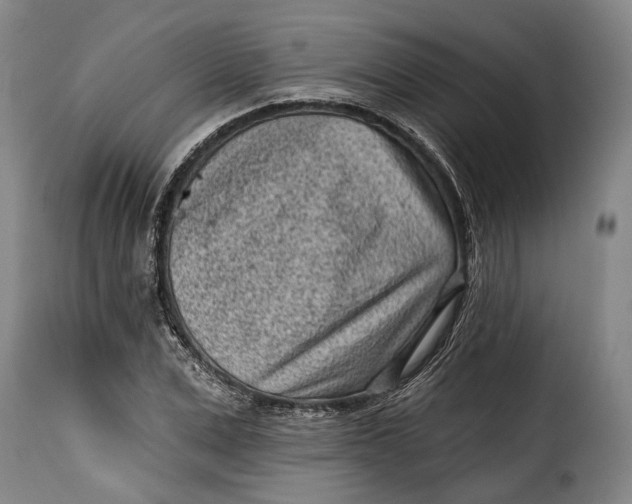 X0000115380975200911241259