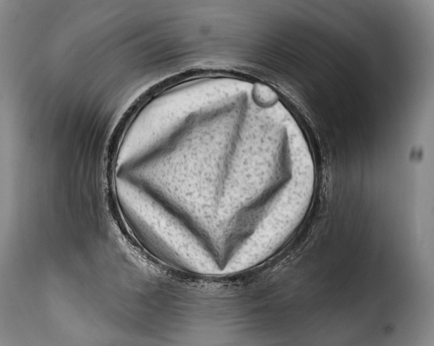 X0000115380976200911241259