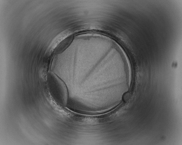 X0000115380977200911241259