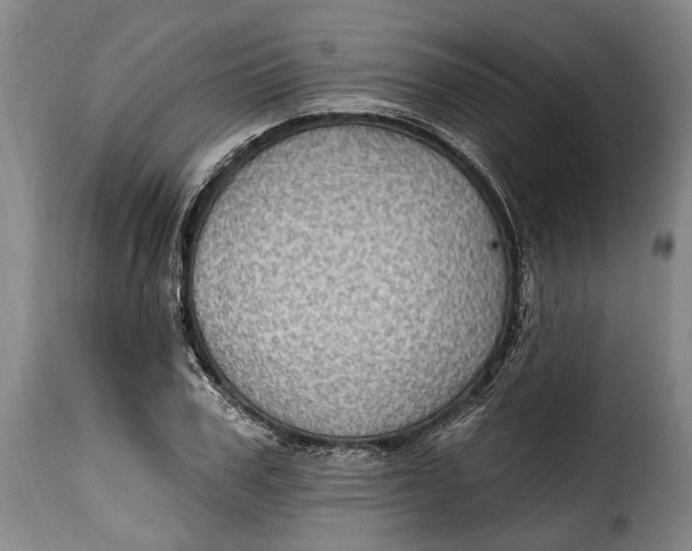 X0000115380979200911241259