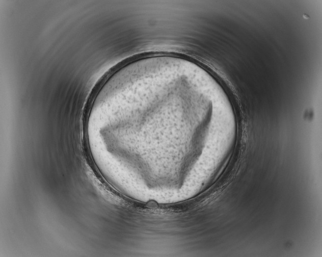 X0000115380980200911241259