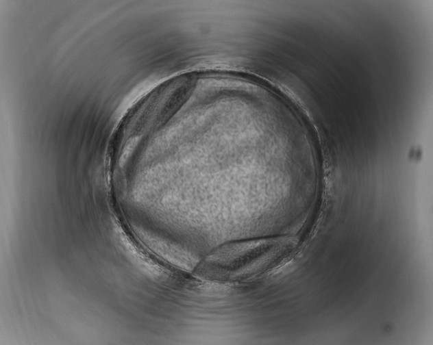 X0000115380981200911241259