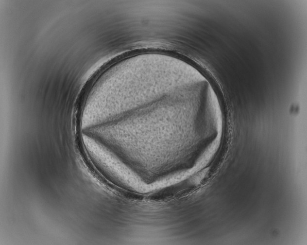 X0000115380983200911241259