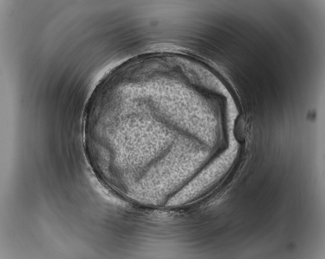 X0000115380987200911241259