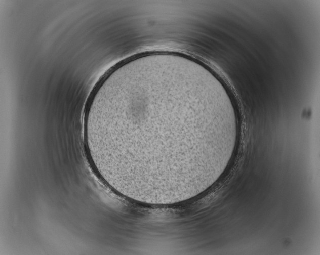 X0000115380988200911241259