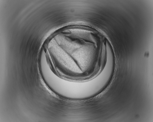 X0000115380989200911241259