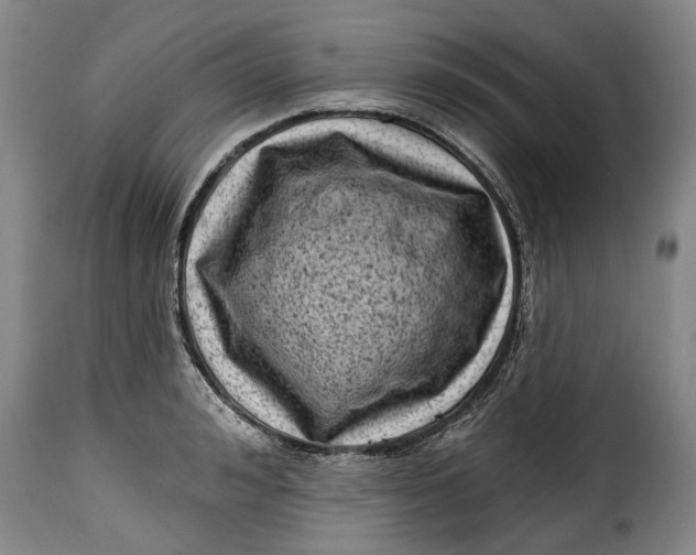 X0000115380992200911241259