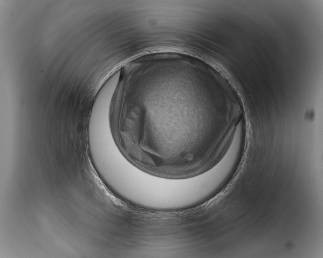 X0000115380993200911241259