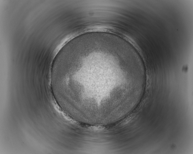 X0000115380994200911241259