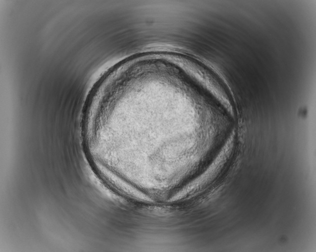 X0000115380995200911241259