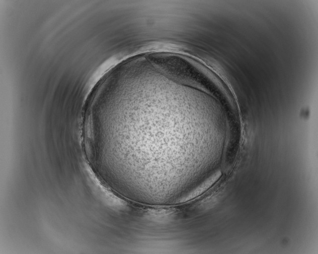 X0000115380997200911241259