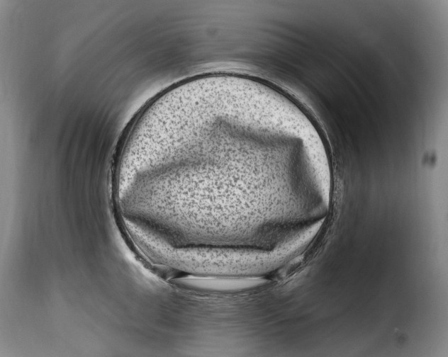 X0000115380999200911241259