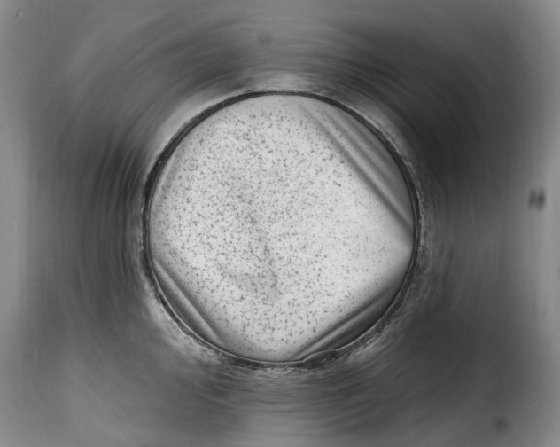 X0000115381000200911241259