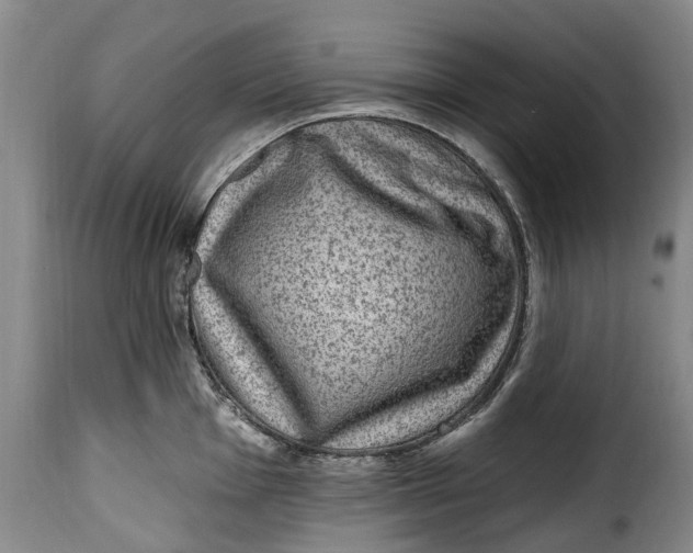 X0000115381001200911241259