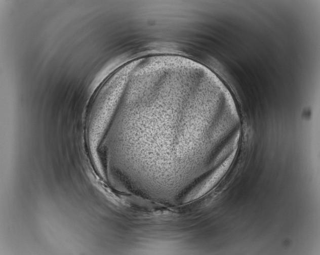 X0000115381002200911241259