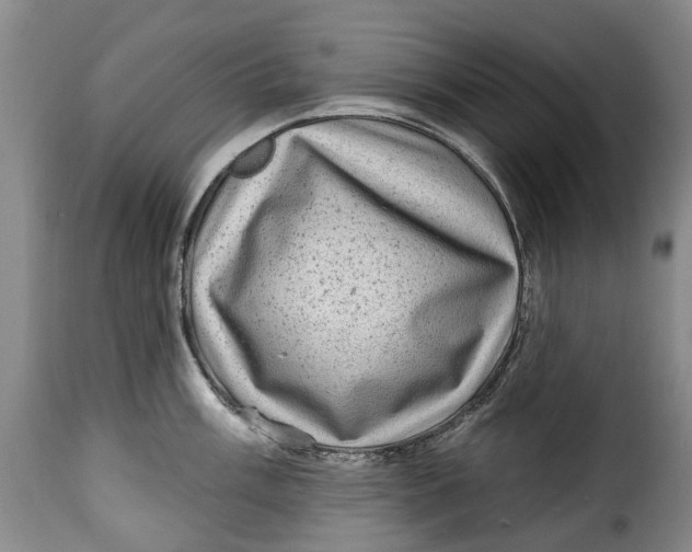 X0000115381003200911241259