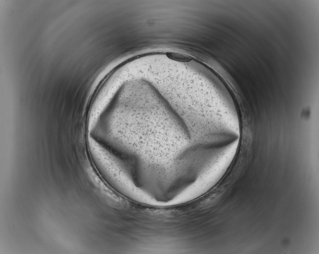 X0000115381004200911241259